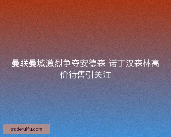 曼联曼城激烈争夺安德森 诺丁汉森林高价待售引关注